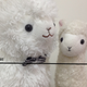 Illustration for article titled Random Reviews 2 : Alpacasso (Plushies!)